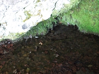 qua Rocca10062012 183